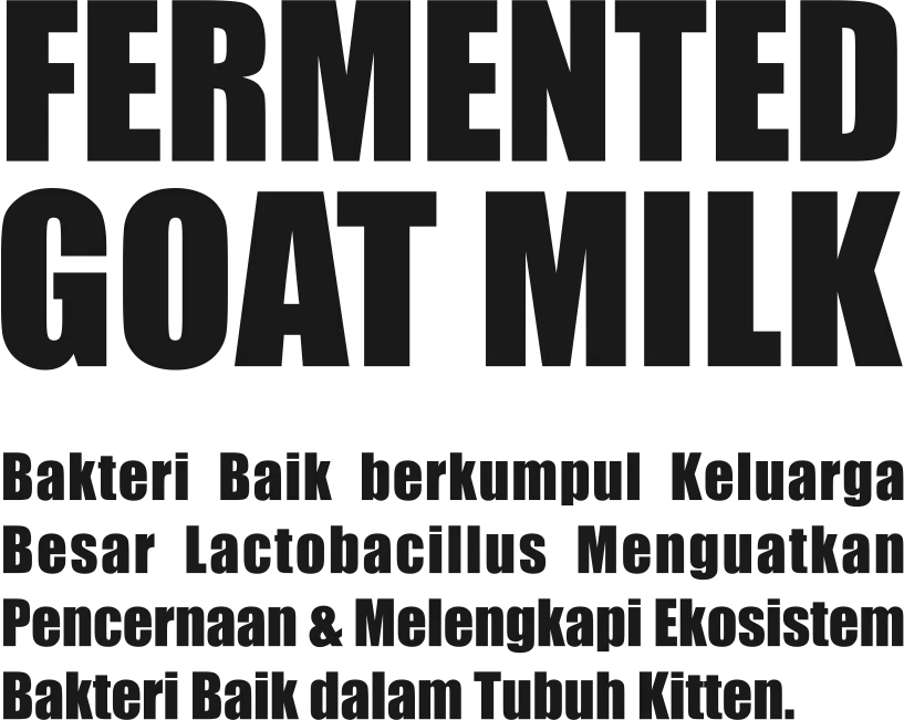Brand Collab GH Vitamin